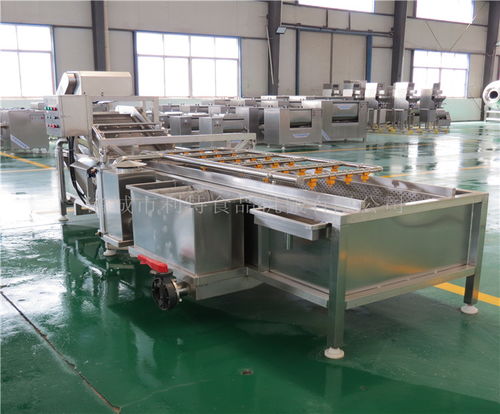 河南地區(qū)高壓噴淋蔬菜清洗機(jī)選購(gòu)指南與優(yōu)質(zhì)供應(yīng)商推薦——諸城市利特食品機(jī)械